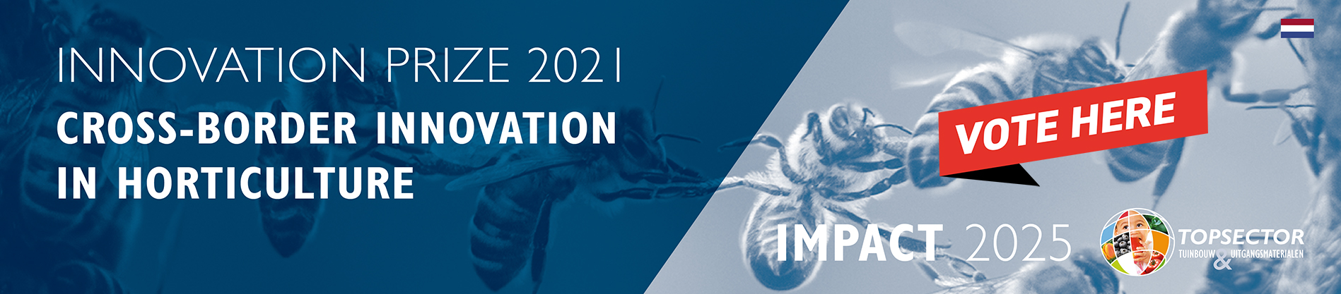 IMPACT2025-InnovationPrize-vote