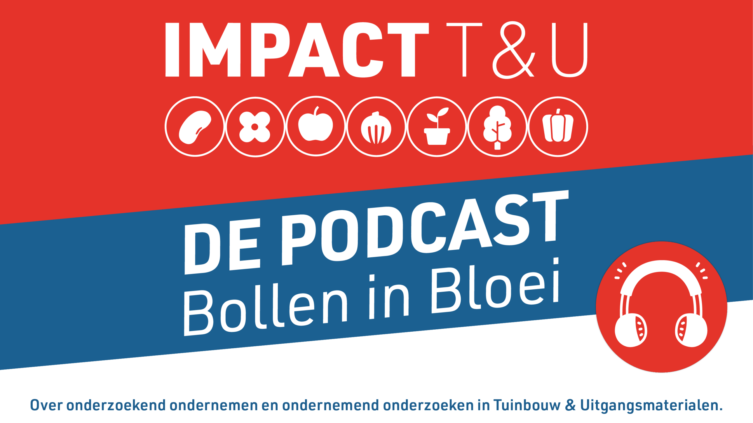 PTTX-DePodcast-BollenInBloei-16-10