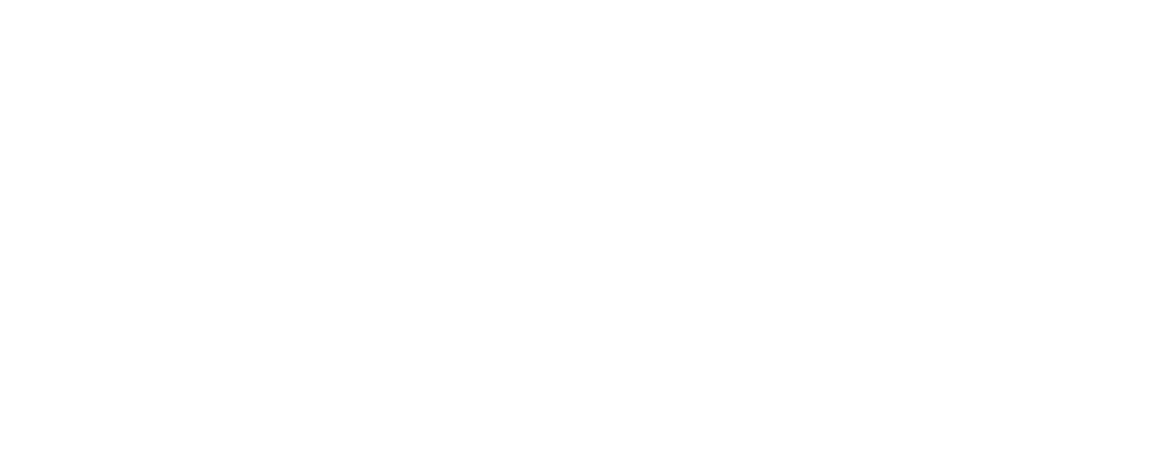 TKI-Stichting-logo-basis-diap