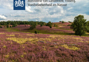 Matchmaking_Missie-natuur-uitgelicht