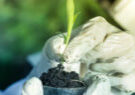 Onderzoek-plantmateriaal