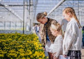 Quinten den Hertog_5