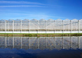 A greenhouse for growing plants near the villages of Delfgauw and Pijnacker in the Netherlands